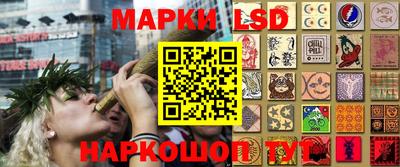 прущие грибы Балашиха
