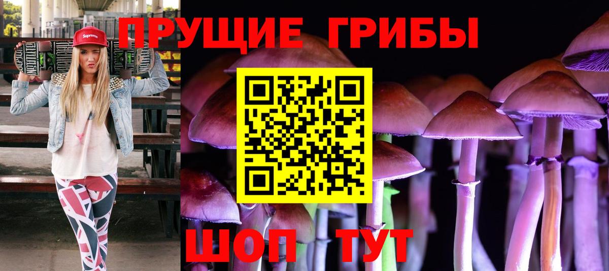 Архангельск  Галлюциногенные грибы прущие грибы  Вход с VPN  Галлюциногенные грибы мухоморы 